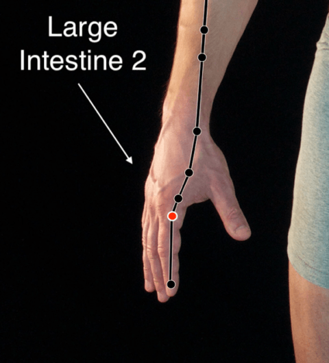 Acupressure Strengthening And Sedating Points Naturegrooves