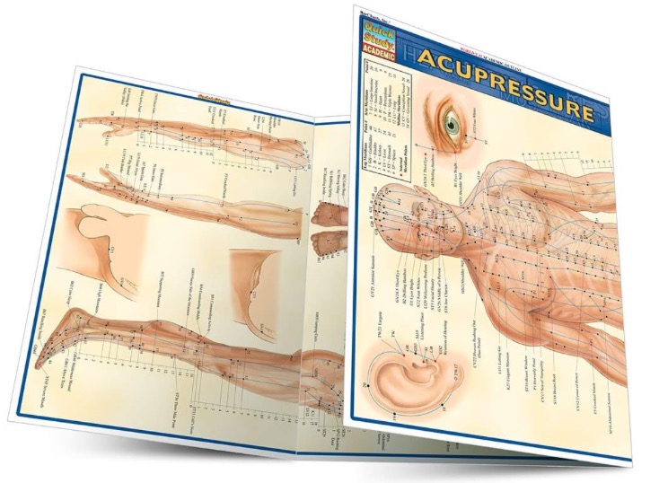 accupresure points and meridian chart 2