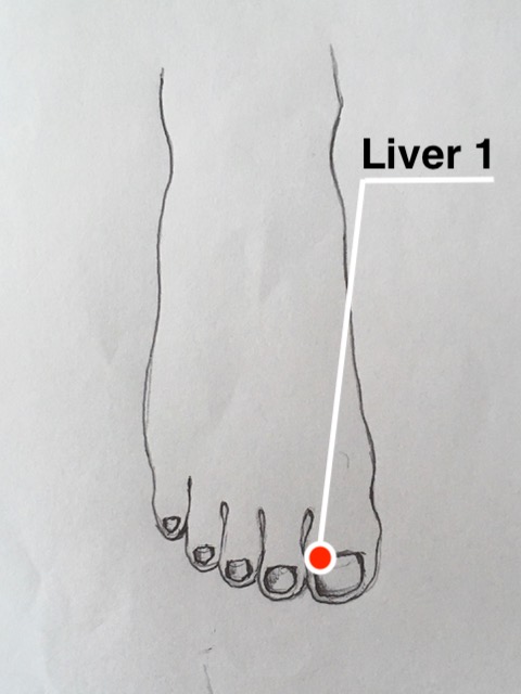 Liver 1 Acupressure Point