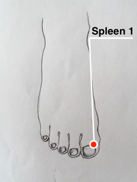 Spleen 1 Acupressure Point