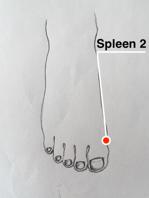 Spleen 2