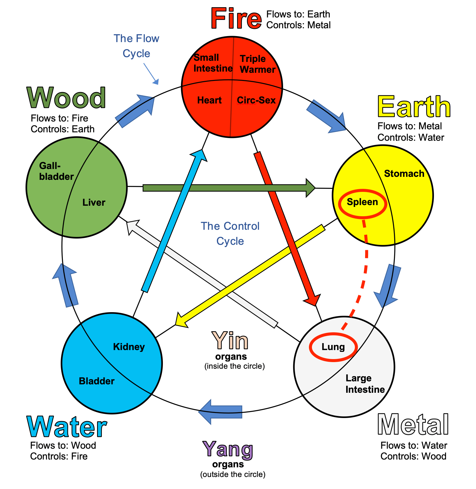 Spleen to Lung Five Elements Cycle