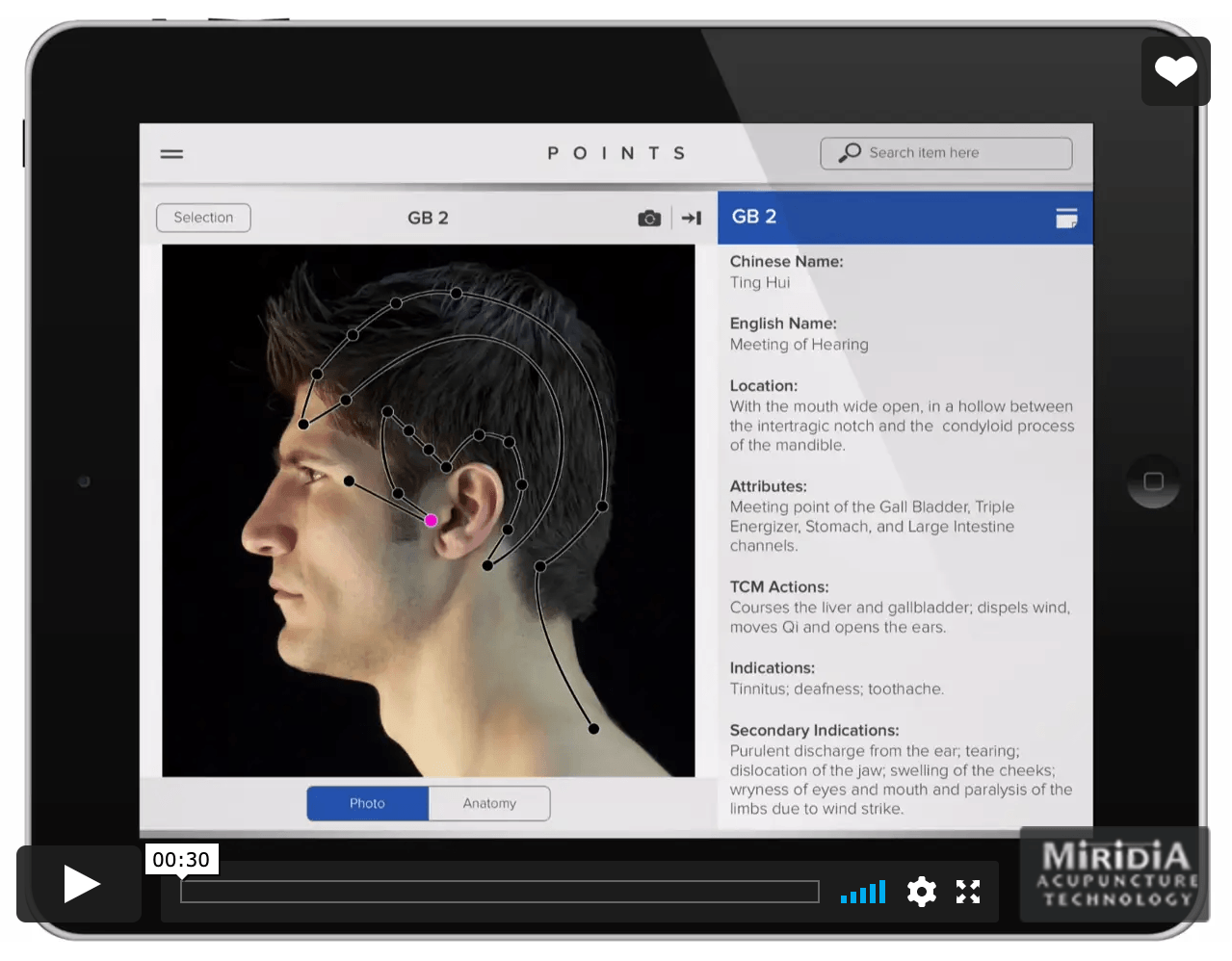 points - interactive acupuncture software