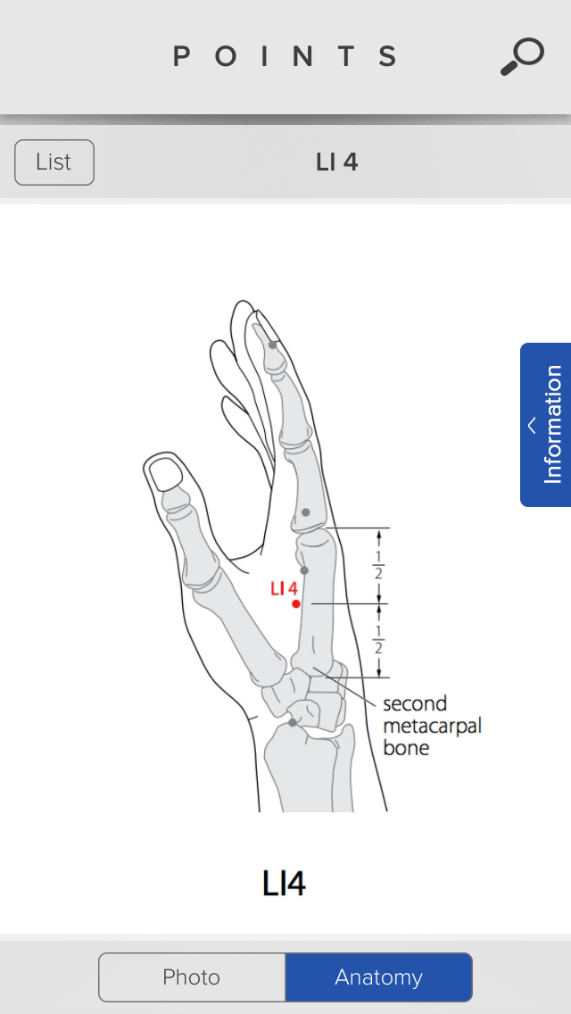 Large intestine 4 - anatomy