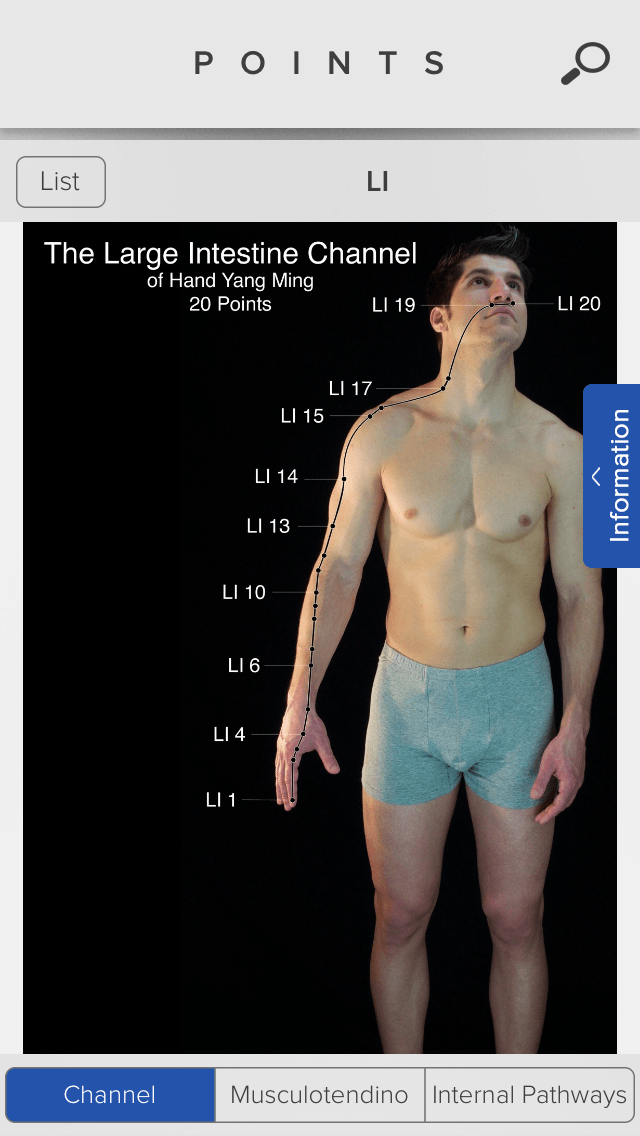 the large intestine meridian