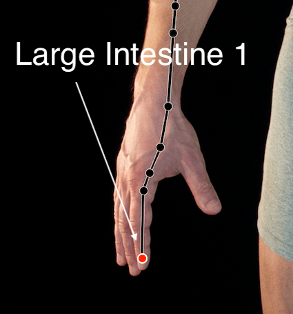 Large Intestine 1 acupressure point