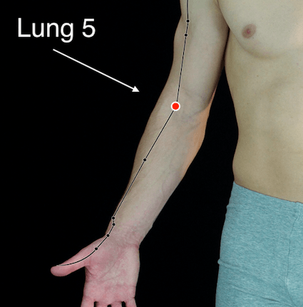 Lung 5 acupressure point