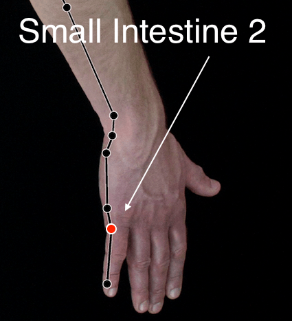 Small Intesstine 2 acupressure point