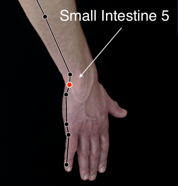 Small Intestine 5 acupressure point