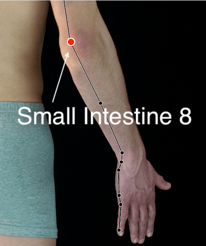 Small Intestine 8 Acupressure Point