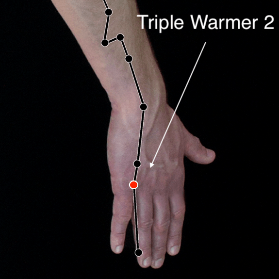 Triple Warmer 2 acupressure point