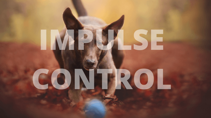 Impulse Control Course