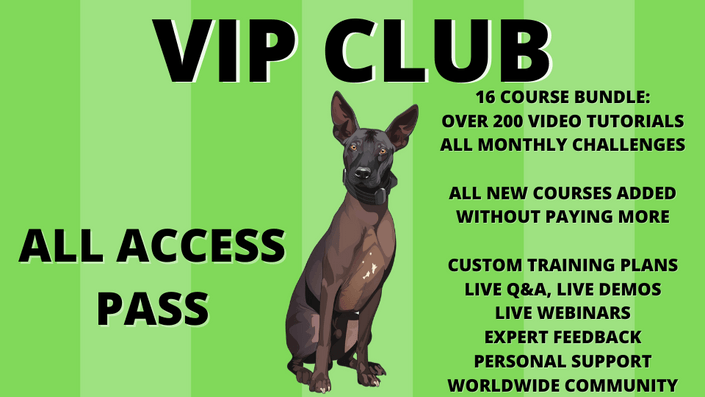 VIP club all-access