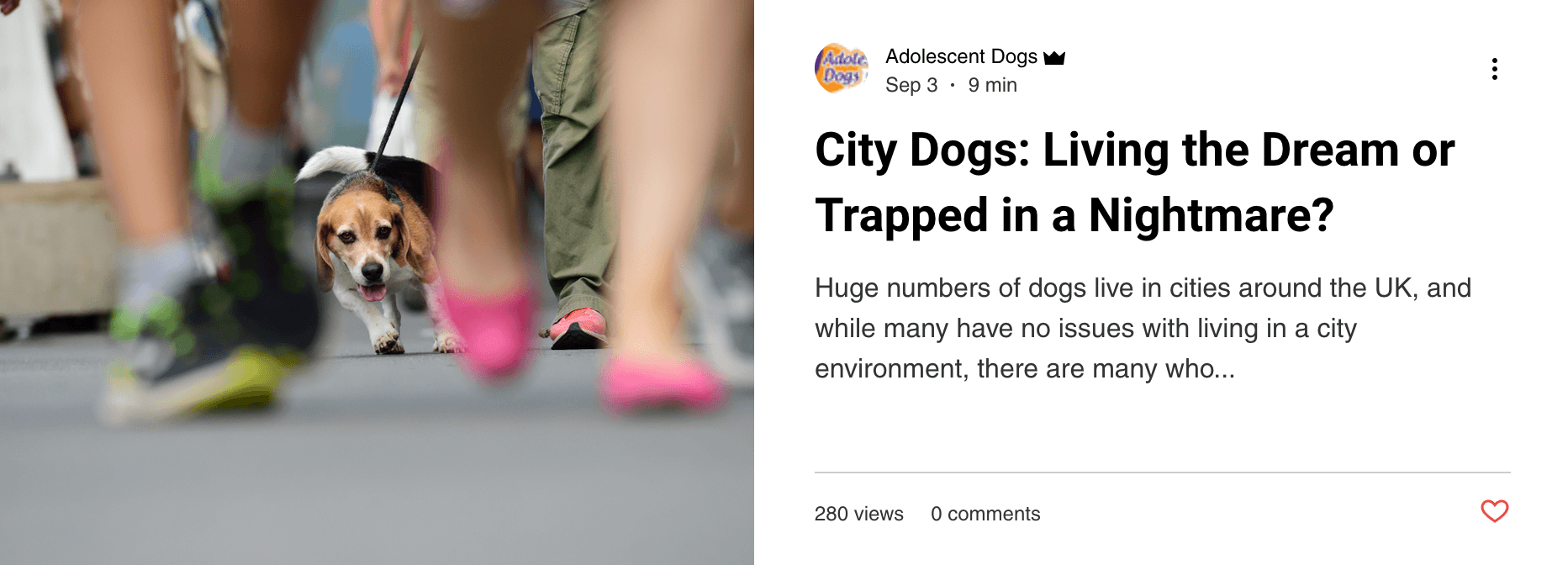 City Dogs - blog post by Adolescent Dogs Online Training Academy