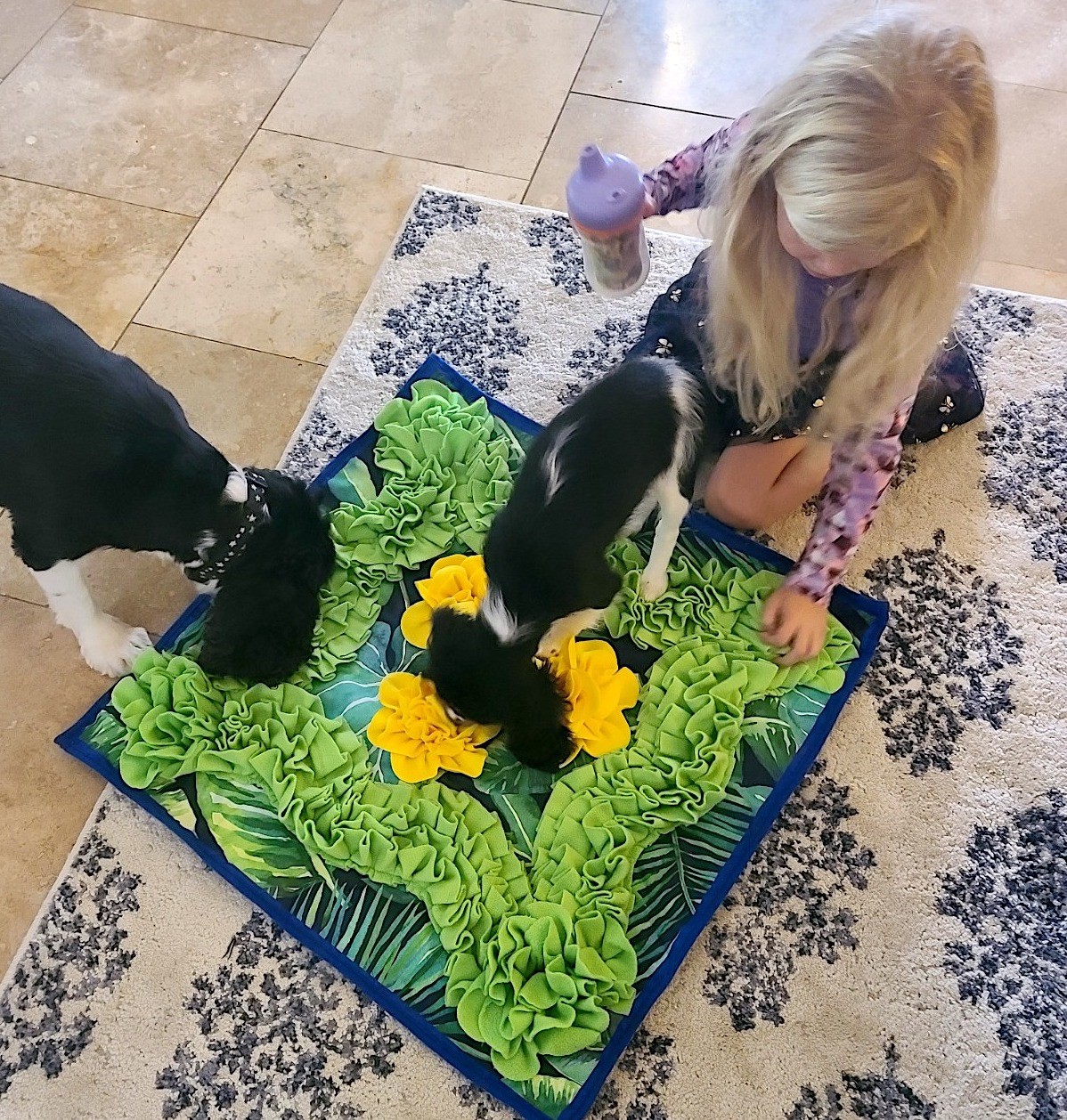 Snuffle Mat for Dogs Tropical Design