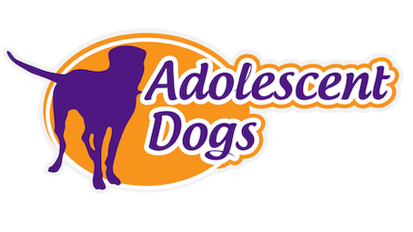 Adiolescent Dogs Online Training Academy