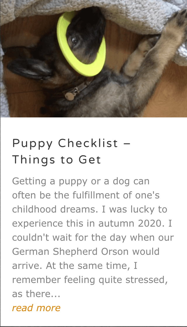 Things to get for a puppy