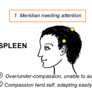 Spleen