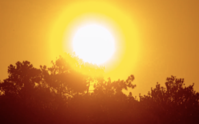 WHAT IS PHOTOTHERAPY?